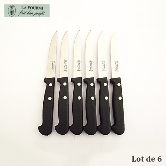 La Fourmi Lot de 6 Couteaux de Table Lisses